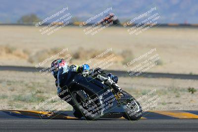 media/Feb-04-2023-SoCal Trackdays (Sat) [[8a776bf2c3]]/Turn 4 (Tree of Life 2pm)/